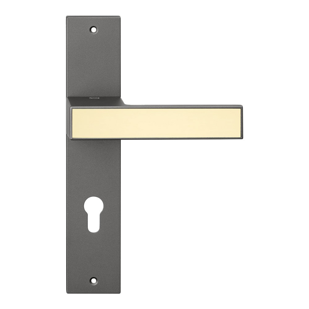 Icon Frosio Bortolo interior handles available in many colors